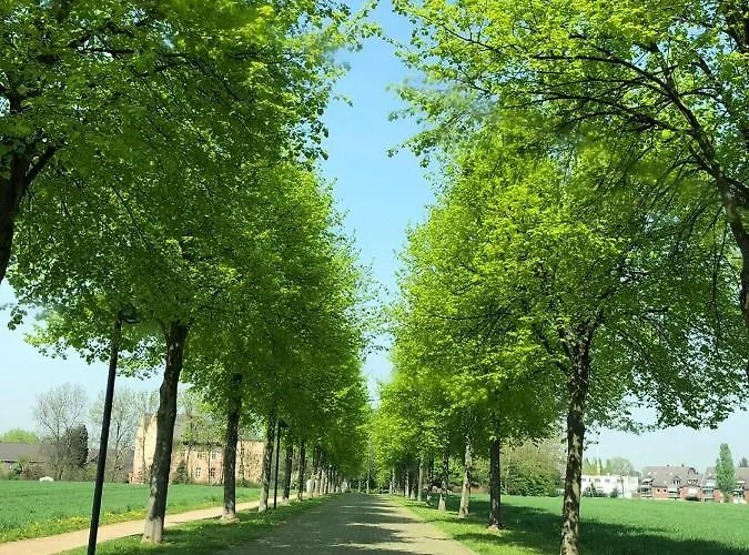 Hotell Gut Dyckhof 4*